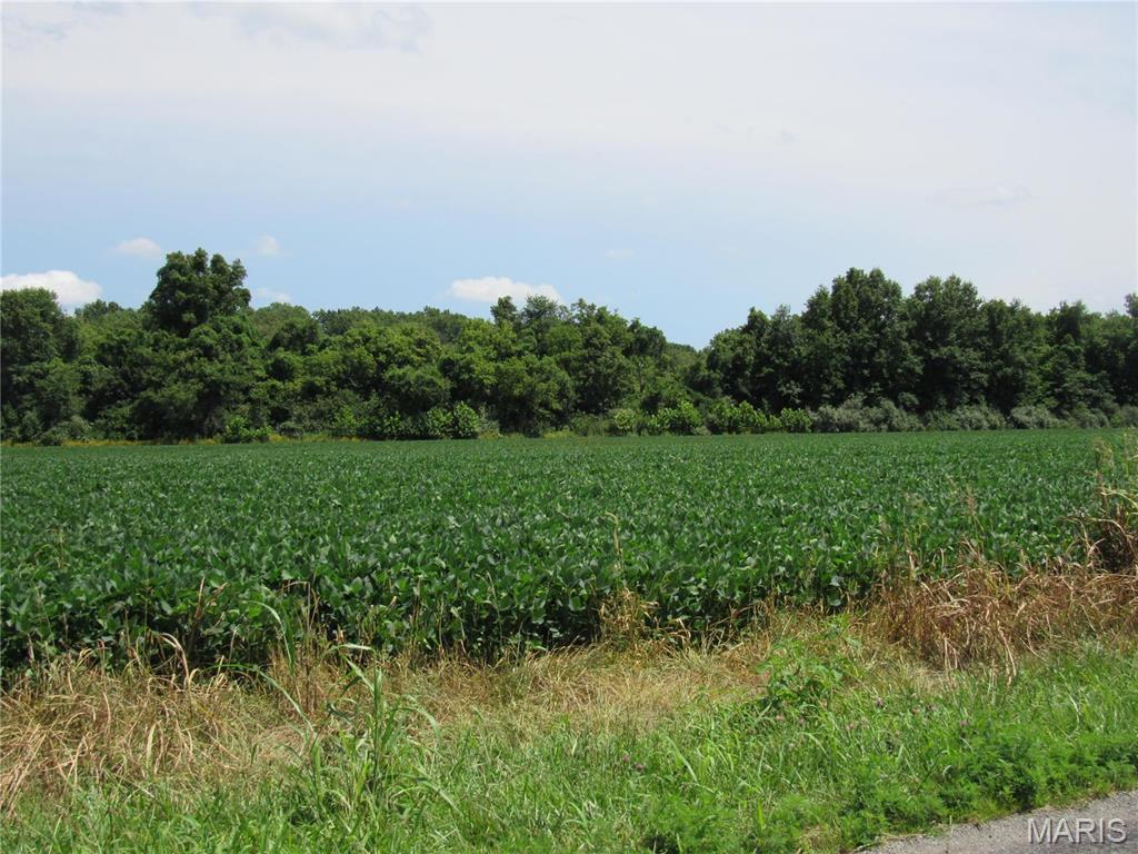 Not in a subdivision - Farm