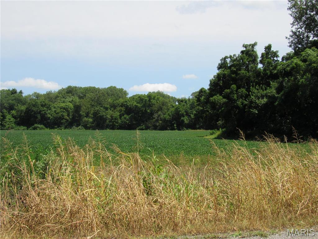 Not in a subdivision - Farm