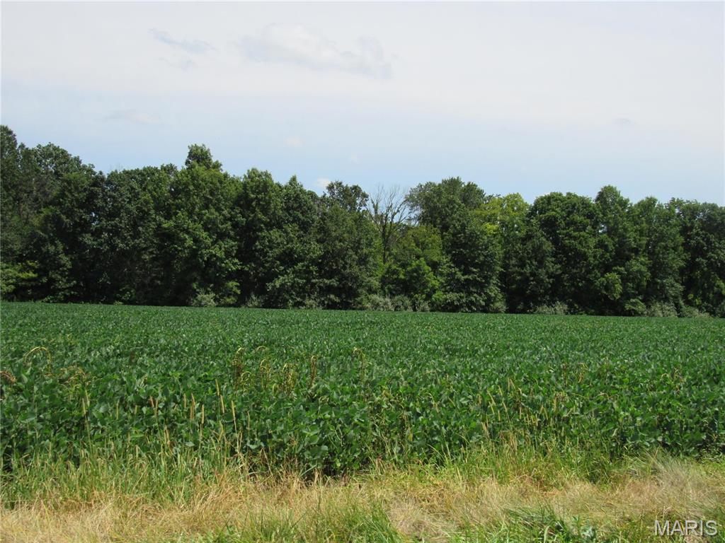 Not in a subdivision - Farm