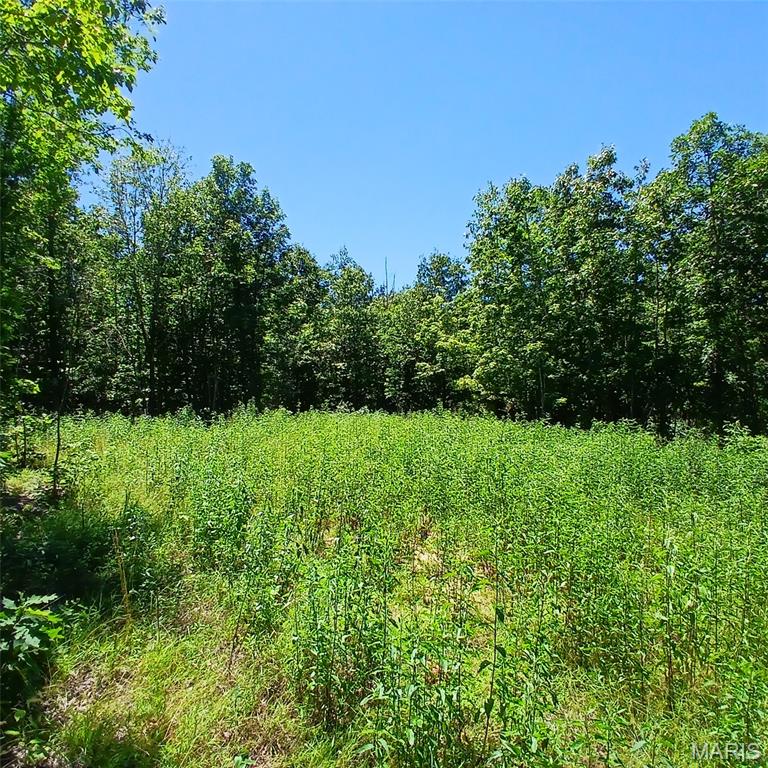 This 61-acre hidden retreat is the kind of property hunters dream about. Tucked far off the beaten path, it offers true seclusion, unmatched privacy, and the feeling of being miles away from everything — yet you’re still just a short drive from the scenic Arcadia Valley and its state parks.

The land is loaded with wildlife, making it a genuine hunter’s paradise. Deer, turkey, and other native game thrive here thanks to the natural cover, minimal disturbance, and all-around LOCATION!  Whether you’re looking for a private hunting camp, a recreational getaway, or a place to escape the noise of everyday life, this acreage delivers.

With 61± acres to explore, you’ll find a mix of timber, trails, and natural terrain that invites adventure. It’s the perfect canvas for building a cabin, setting up a campsite, or simply enjoying the peace and quiet of your own wilderness sanctuary.

A rare opportunity to own a large, secluded tract near one of Missouri’s most beautiful regions — ideal for outdoorsmen, nature lovers, or anyone craving privacy and freedom.