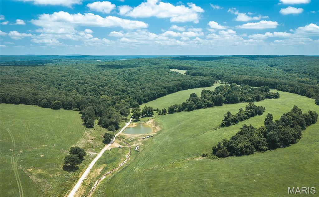 145.95 +/- Acres | Private Country Retreat Near Steelville, Missouri. Escape to your own slice of the Ozarks with this exceptional 145.95 +/- acre property located just off Czar Tower Road. Offering a beautiful blend of open pasture and mature timber, this versatile property is ideal for recreation, farming, hunting, or peaceful country living. A crystal-clear spring runs through the property, feeding a scenic pond that attracts abundant wildlife and creates a picturesque setting. Whitetail deer and wild turkey are frequent visitors, making this an outstanding destination for outdoor enthusiasts and hunters alike. Tucked away in a private setting, the property also features a comfortable 3-bedroom, 2-bath home, providing the perfect base camp, weekend getaway, or full-time residence.  Conveniently located near the popular river resorts of the Steelville area, you'll enjoy easy access to floating, fishing, and endless outdoor recreation while still having the privacy and seclusion of your own acreage. Spanning both Crawford and Washington Counties, this unique property offers the best of Missouri country living with exceptional natural beauty and unlimited potential.