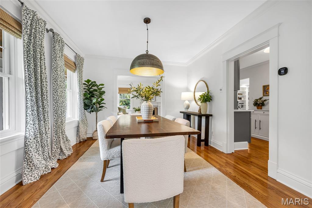 Webster Park - Residential