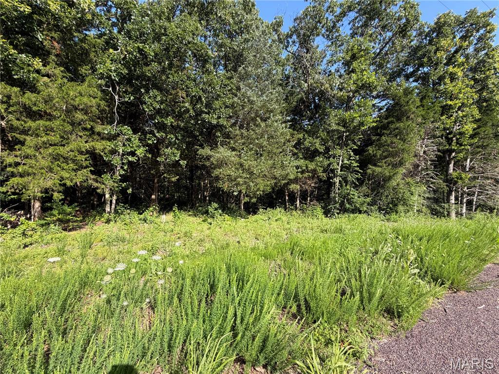 Cedar Breeze Estates - Land
