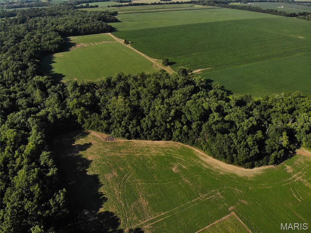 STEVENSON Township - Land