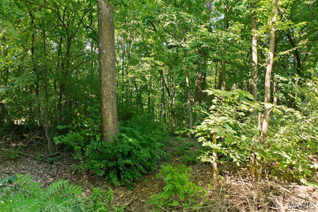 Bluff Estates - Land