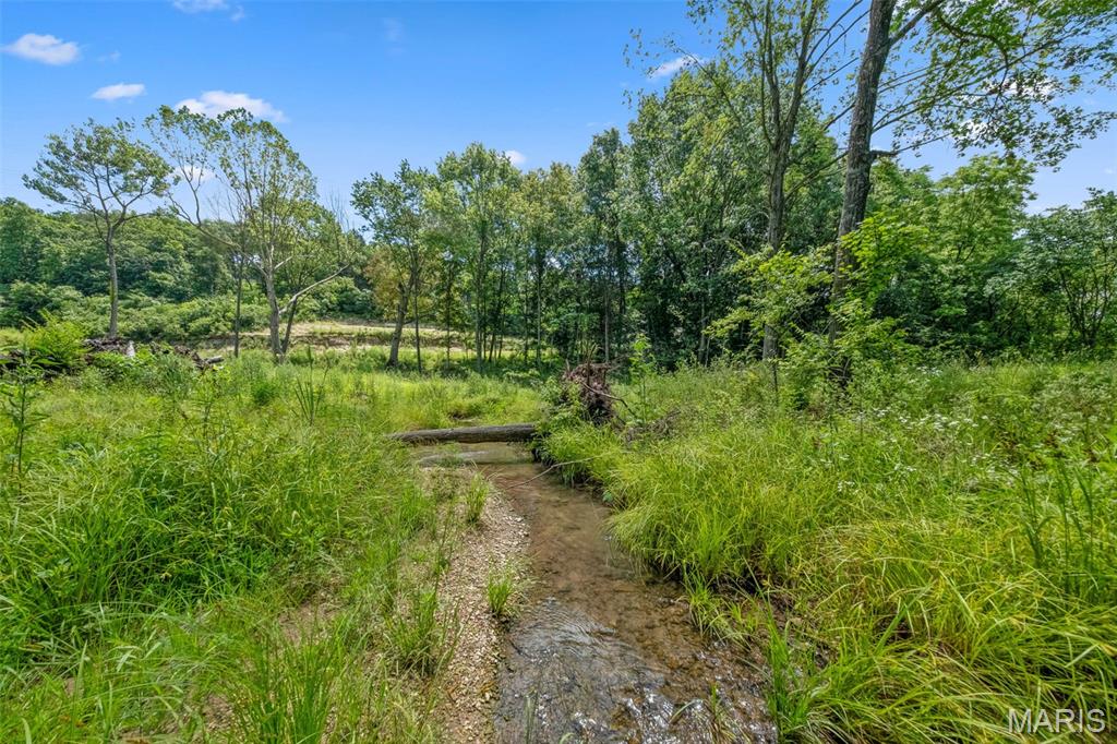 Seven Springs - Farm