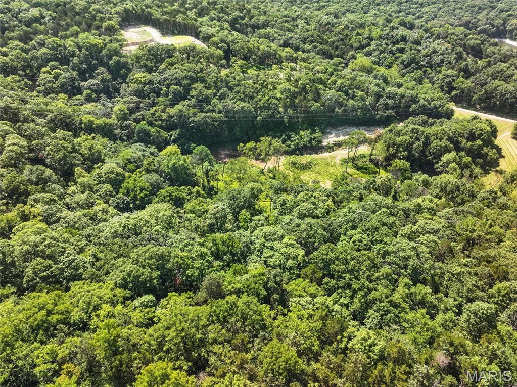 Seven Springs - Farm