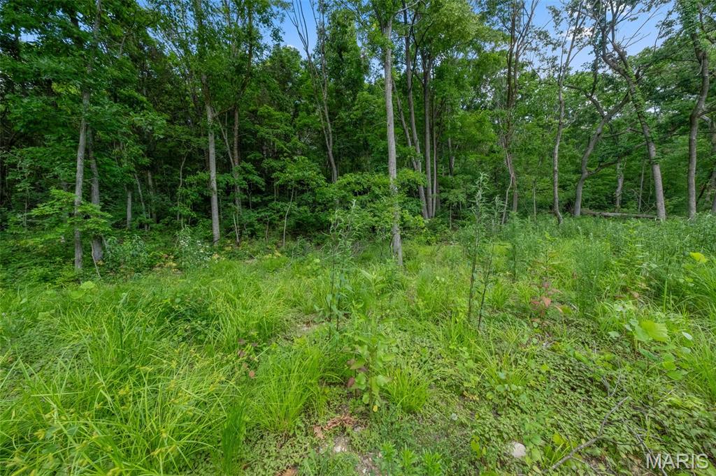 Seven Springs - Farm
