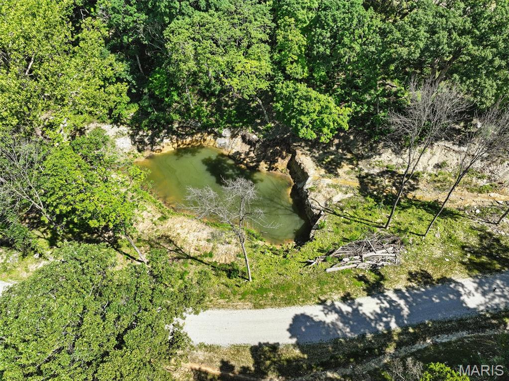 Looking for a place to build and have a live spring? Well this is the place! Several springs grace this property and at least one pumps enough water to be a possible source of income!  There is enough water coming out of Mother Earth here to be a Bottled Spring Water source!  Beautiful building spot is already cleared and "pad ready" with views! Secured by a First-Class private gate, this property offers endless possibilities and plenty of room for your horses or a couple of steers for the freezer! Want a huge garden? Want Chickens? This place is perfect for that! Bring your building plans and your builder! This place is perfect for anyone wanting privacy, security, a view and all of the development work already complete! All you have to do is build your home, now or whenever you choose!  So many options and no restrictions!  Hunt in your own backyard! Lots of deer and wildlife! Security, self-sufficiency and privacy await you and your vision!