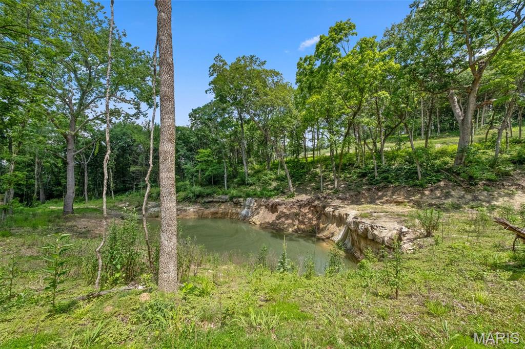 Seven Springs - Farm