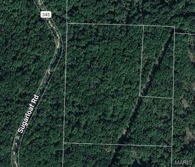 Great opportunity to own land fronted by over 300 acres of conservation! Big Trees and electricity across the back of property.
