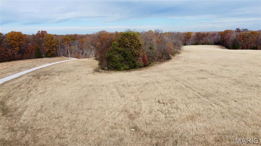 Tract 1

Multiple tracts available ranging from 22-40 acres. You can buy one or combine multiple tracts! Finding the right property to build your dream home has many factors with location being a top one. The privacy of this property gets you away for the serenity you dream of but still within 30 minutes to Washington, Wentzville or Warrenton, MO. 

The location of Polston Farms is incredible but the views are hard to beat as well. With a newly constructed road onto the farm that leads you to the 12 lots of many different sizes. Each tract has its own unique attributes but they all have one thing in common, seclusion! Each lot has electric and are build ready if you decide to do so. Minimum restrictions along with a road agreement. Don't miss out on your chance to own one of these tracts to build or just to getaway!