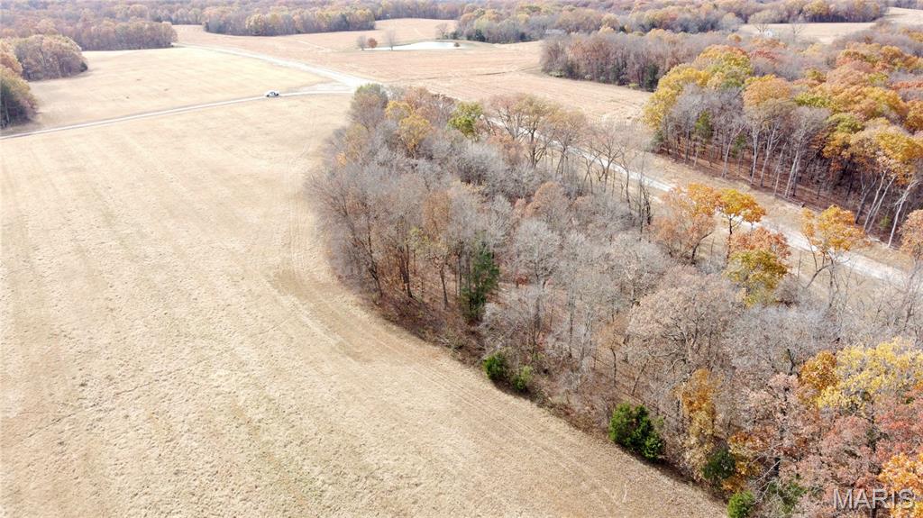 Polston Farms - Farm