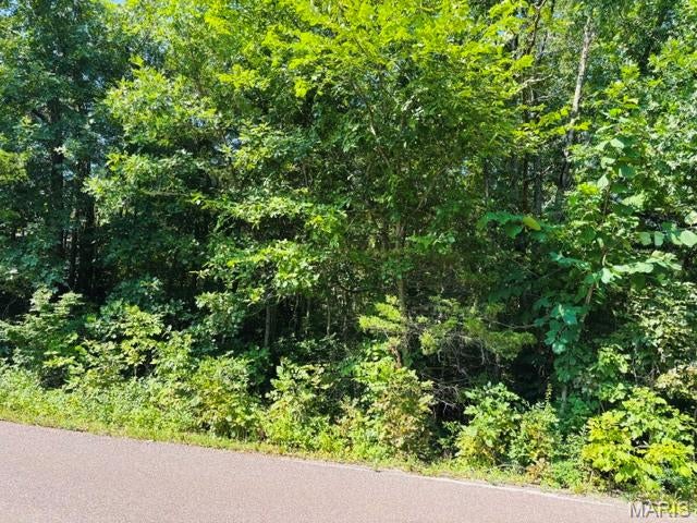 Indian Hills Sub - Land