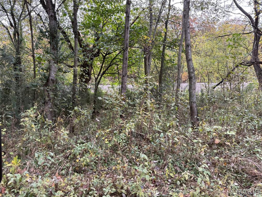 Black River Retreat 1 - Land