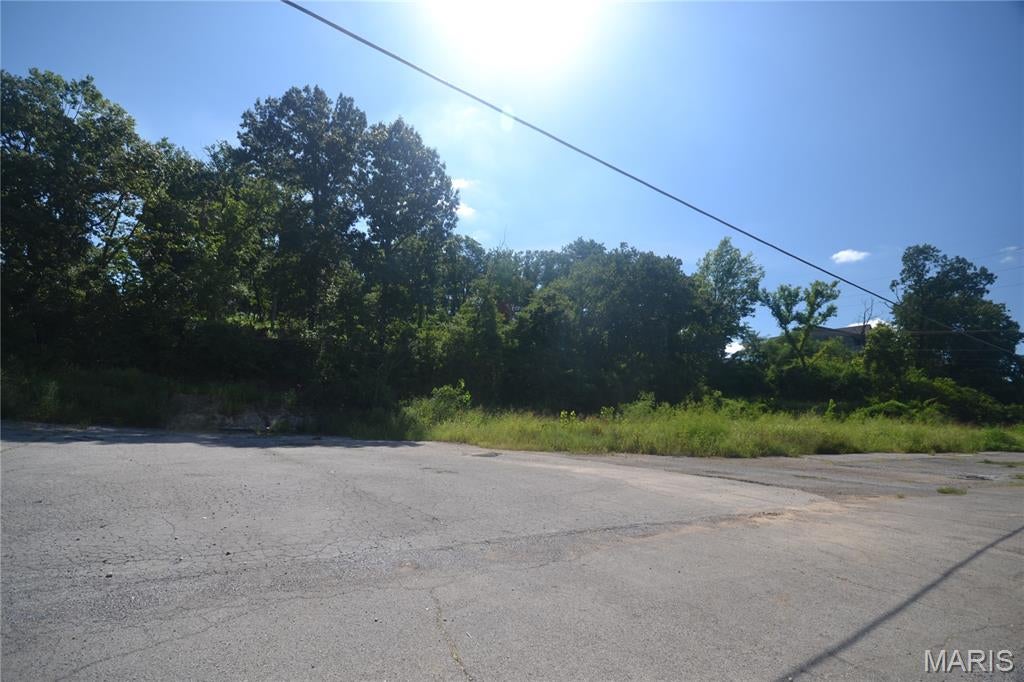 Bridgeview Rdg - Land
