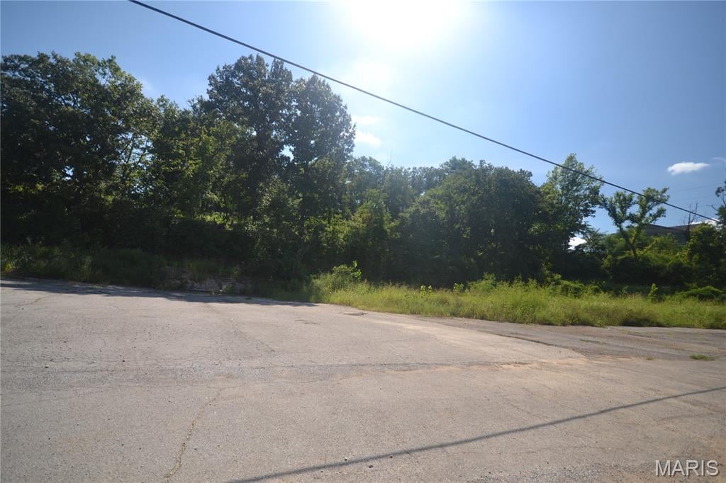 Bridgeview Rdg - Land
