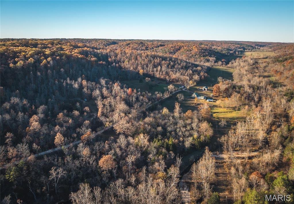 JUST REDUCED this 29.9 acres surrounded by thousands of acres of Mark Twain National Forest. Property is mostly wooded with mature trees. There is a small pond on the hillside. The property is partially cleared leaving many opportunities to build whether it be year round homestead or for a recreational getaway. If you are looking for a rural property with lots of potential, this one is it. Only 30 minutes from Salem.