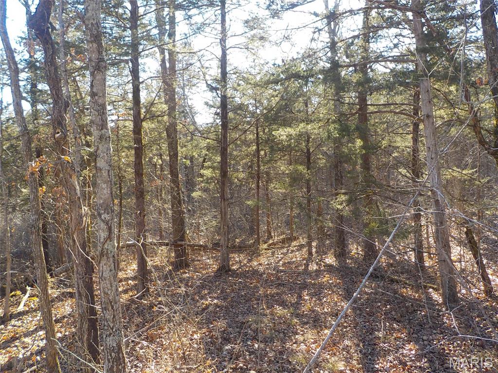 Rouge Creek Valley - Land