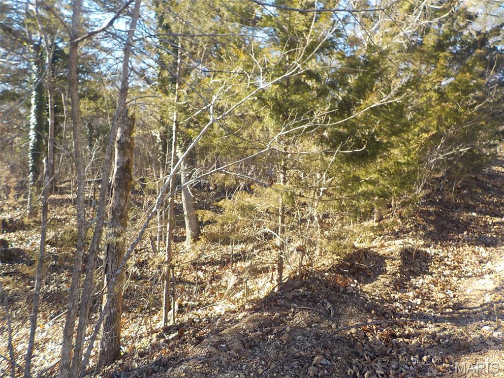 Rouge Creek Valley - Land