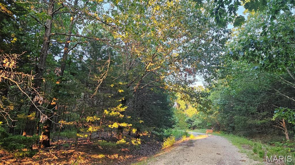 Lake Sherwood Estates - Land