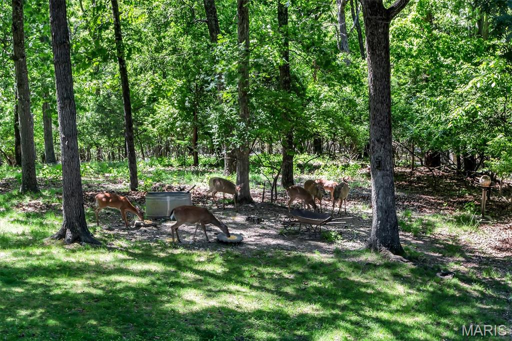 Wild Valley Farms - Residential