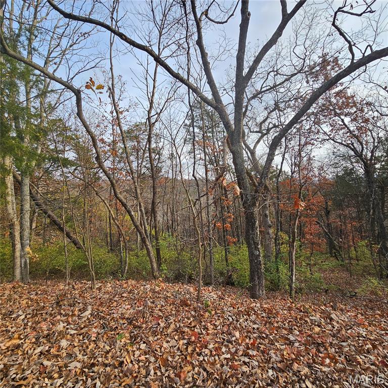 Tamarack Heights - Land