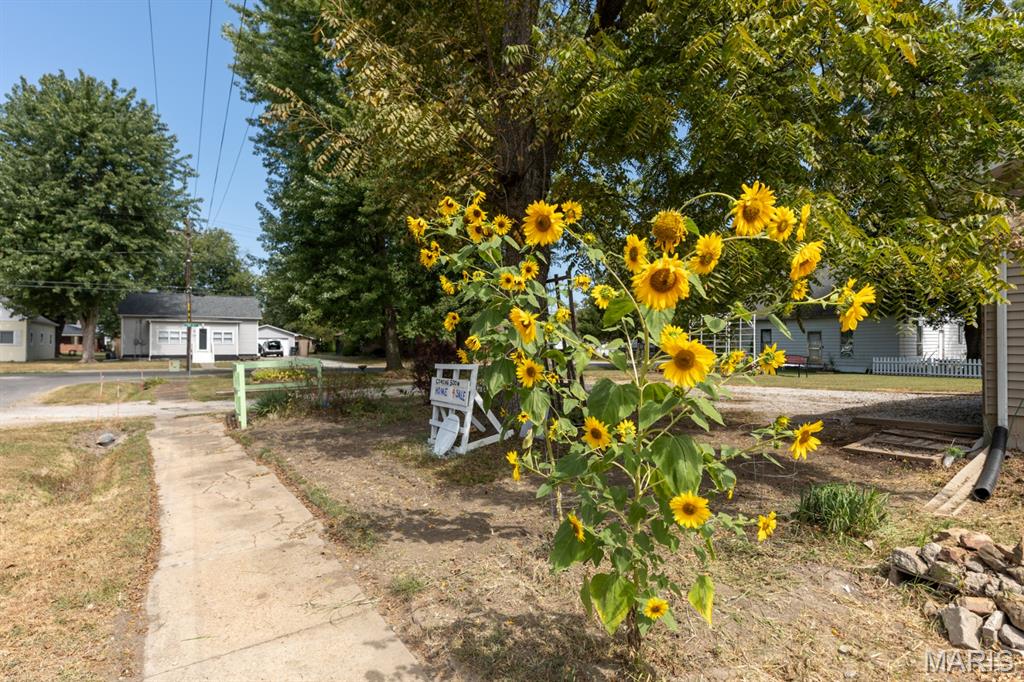 Lillian Walls Add - Residential