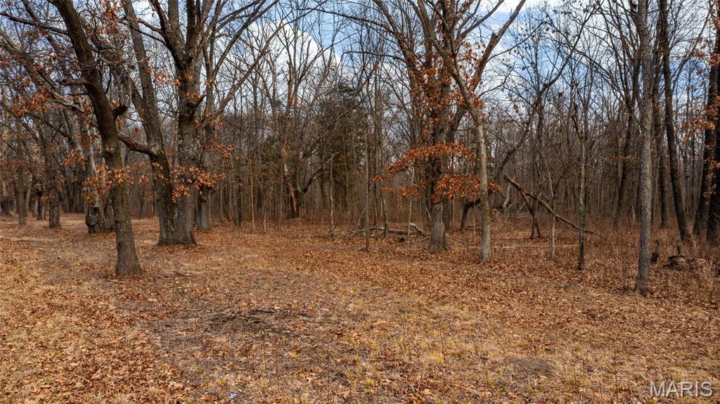Not in a Subdivision - Land