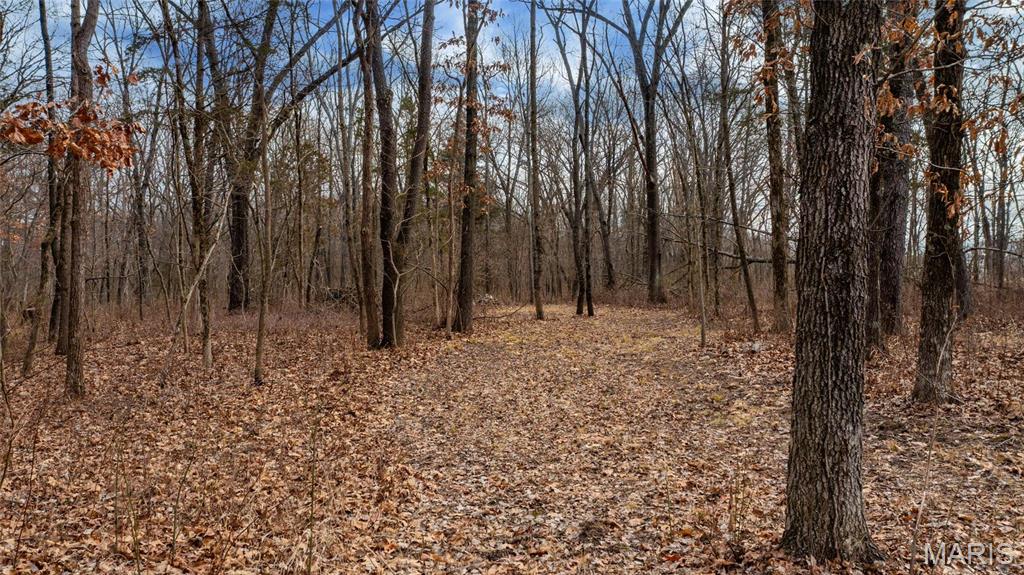 Not in a Subdivision - Land