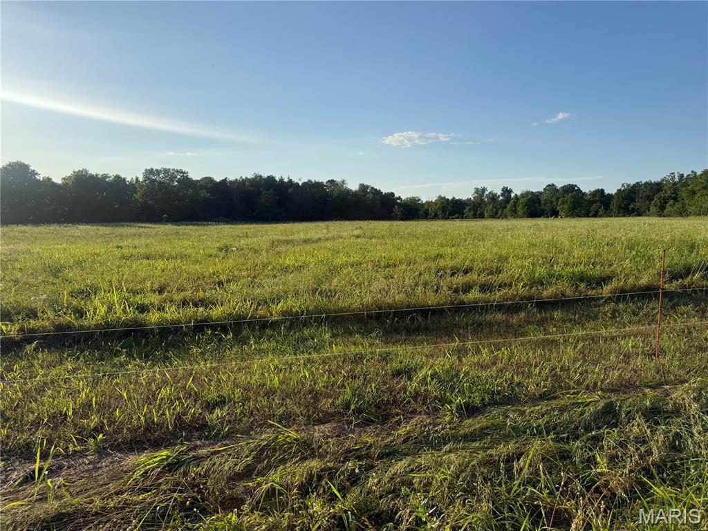 20 Acres of Prime Pasture Ground – Endless Possibilities! Looking for the perfect spot for livestock, farming, or your next agricultural venture? This 20-acre tract of open pasture ground offers excellent highway frontage and easy access. Whether you’re looking to run cattle , keep horses  or any livestock, produce, hay, or simply enjoy country living, this property provides plenty of opportunity.
The property is unrestricted, allowing you the flexibility to place a tiny home, or even live in a camper while enjoying your land. A creek runs across the road, adding to the scenic appeal of the area. 
Please note that the property is located within a flood zone, so buyers should conduct their own due diligence regarding intended use.
If you’ve been searching for an affordable piece of acreage with room to spread out and make it your own, this one deserves a look!