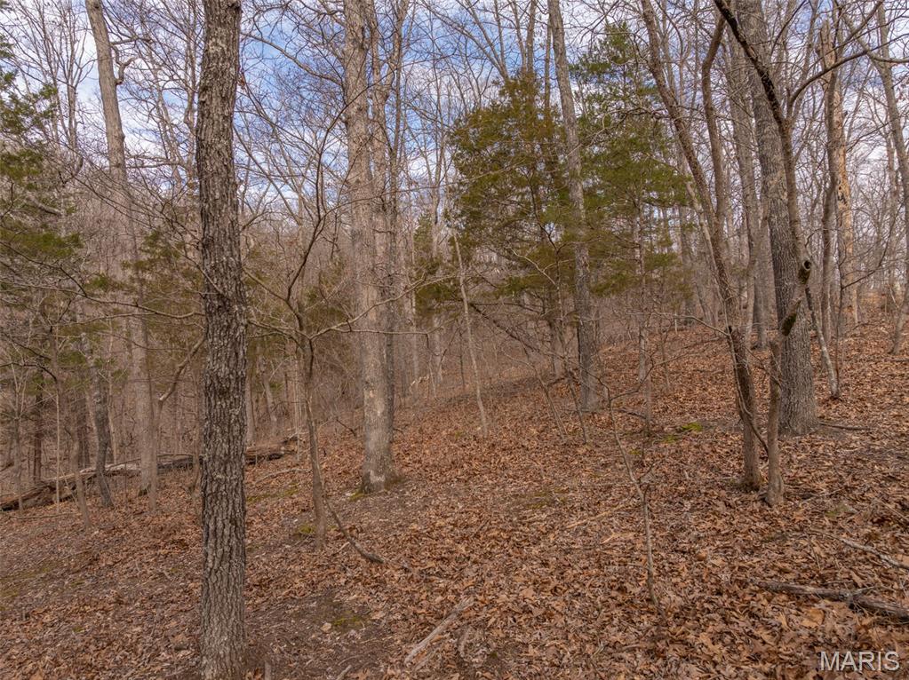 Innsbrook - Land