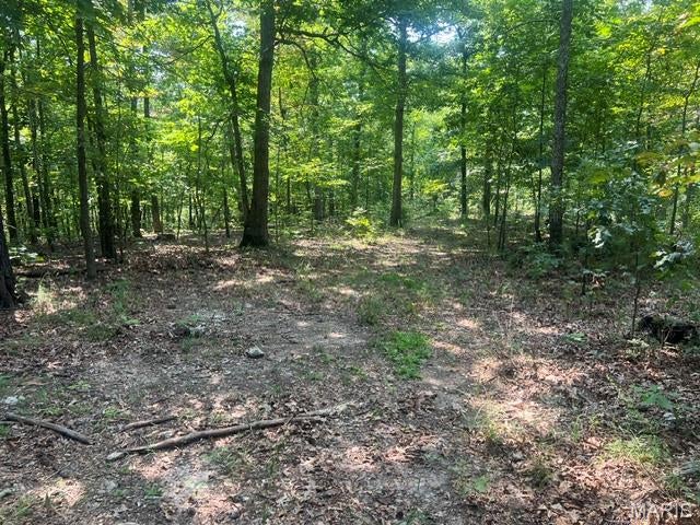 248 Acres of Missouri Ozarks Opportunity
Marketable Timber • Pond • Extensive Trail System • Southeast Missouri
Discover 248 acres of versatile wooded land in southeast Missouri, offering the privacy, natural beauty, and recreational potential buyers seek in a large-acreage Ozarks property. Whether you envision a hunting retreat, timber investment, family getaway, or private outdoor escape, this tract provides an exceptional foundation.
Property Highlights
• 248 acres in scenic southeast Missouri
• Marketable timber with investment and management potential
• Pond providing a natural water feature and added recreational appeal
• Trails throughout for convenient access, hiking, riding, and exploring
• Excellent setting for hunting, camping, outdoor recreation, or a secluded retreat
• Abundant space, privacy, and possibilities for long-term ownership
From peaceful mornings by the pond to miles of trails beneath the timber canopy, this property is ready to be enjoyed from day one. Large tracts with this combination of timber, water, access, and recreational versatility are increasingly hard to find.
Don’t miss your opportunity to own 248 acres in the Missouri Ozarks. Contact the listing agent today for pricing, additional property details, and a private showing.