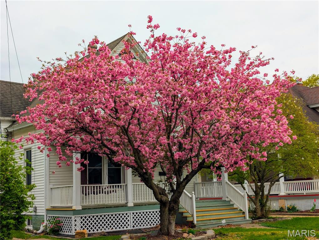 Solomon & Others Add - Residential