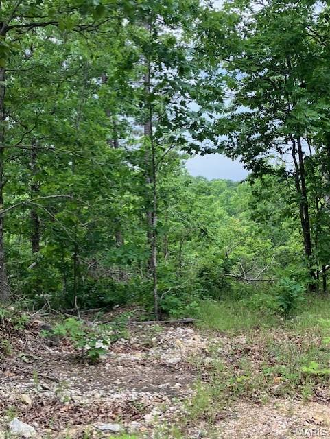 On the top of the ridge with a large amount of flat area, and a nice deeded gravel road access.
 This more than 10 acres omes with NO restrictions, and can be had for less than the price of a new truck or SUV. And has one of the best southwest facing view in the Ozarks.
Hunt, camp, build, ride ATVs on your own land, or fish or play in nearby creeks ... endless opportunities.
This property is wooded and rolling. You are within a mile of the 22,176-acre Mark Twain National Forest ... public ground where you can also hunt, ride and explore. All this, and only about 2 miles by road from U.S. 67.
Use this wooded, secluded property as a base camp for adventure or build your forever home and live out your days in secluded bliss. This and surrounding land is teeming with deer, turkey and small game, and the occasional feral hog or maybe a black bear.
There is additional acres available which adjoin this piece if interested.