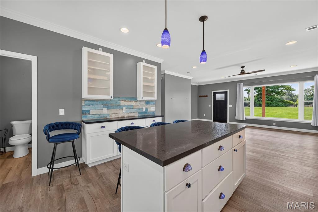 Newport Meadows Future Dev - Residential
