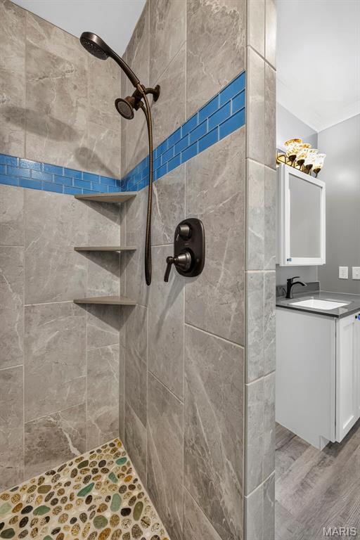 Newport Meadows Future Dev - Residential