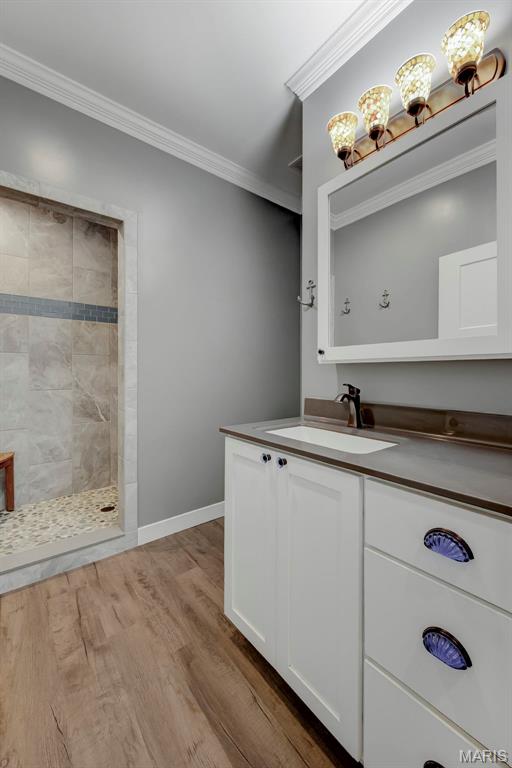 Newport Meadows Future Dev - Residential