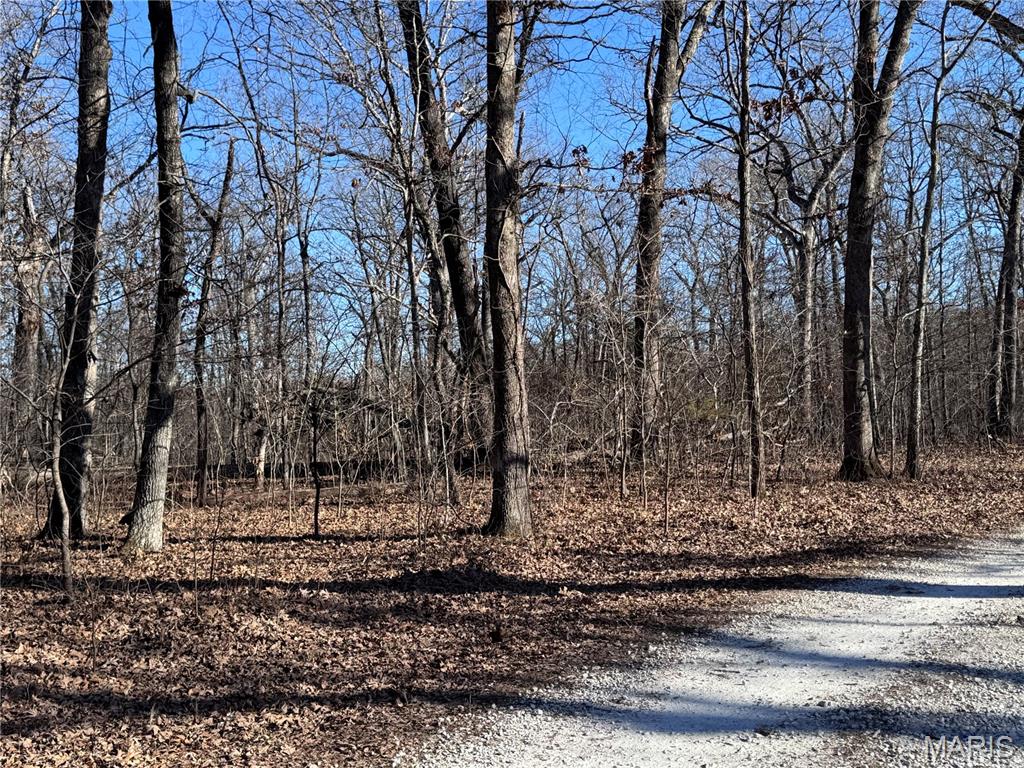 Beautiful 3 acre lot with mature trees in established subdivision.  Lot is gently sloping and should lend self well for a walk out.  underground utilities at site.  1600 s.f. minimum on ranch style homes.