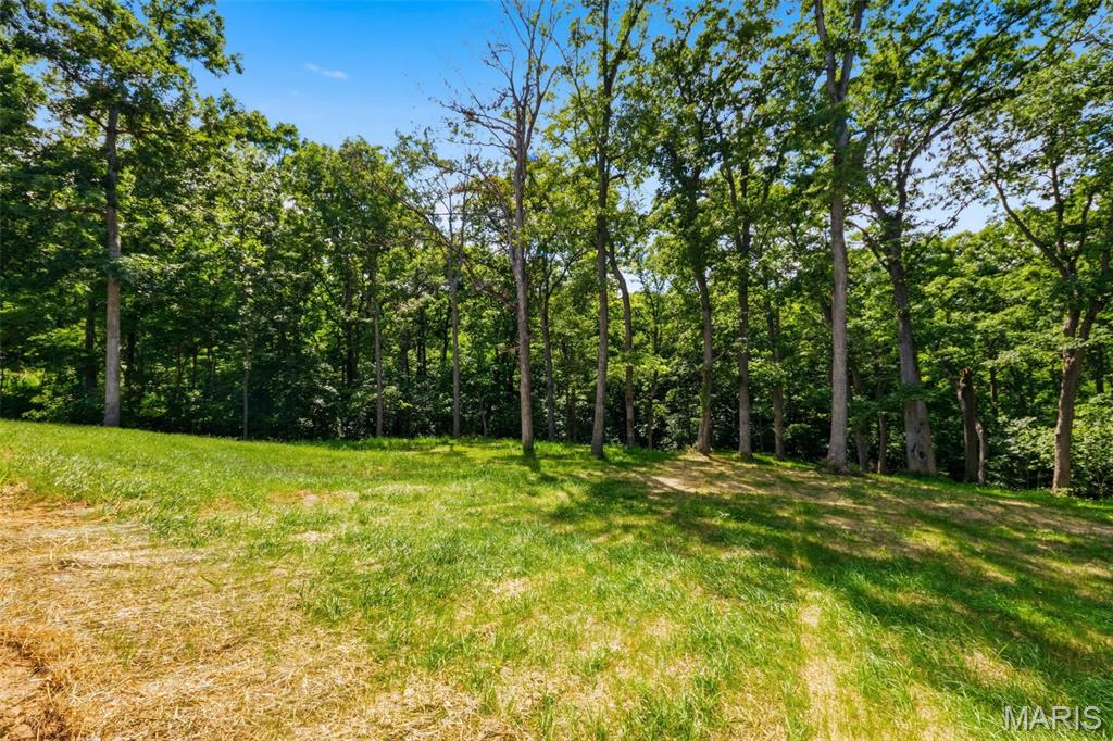 The Woods of Sandy Creek - Residential