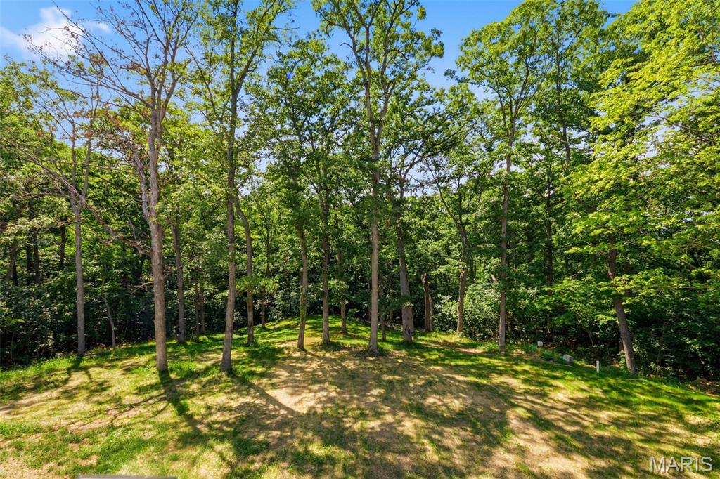 The Woods of Sandy Creek - Residential