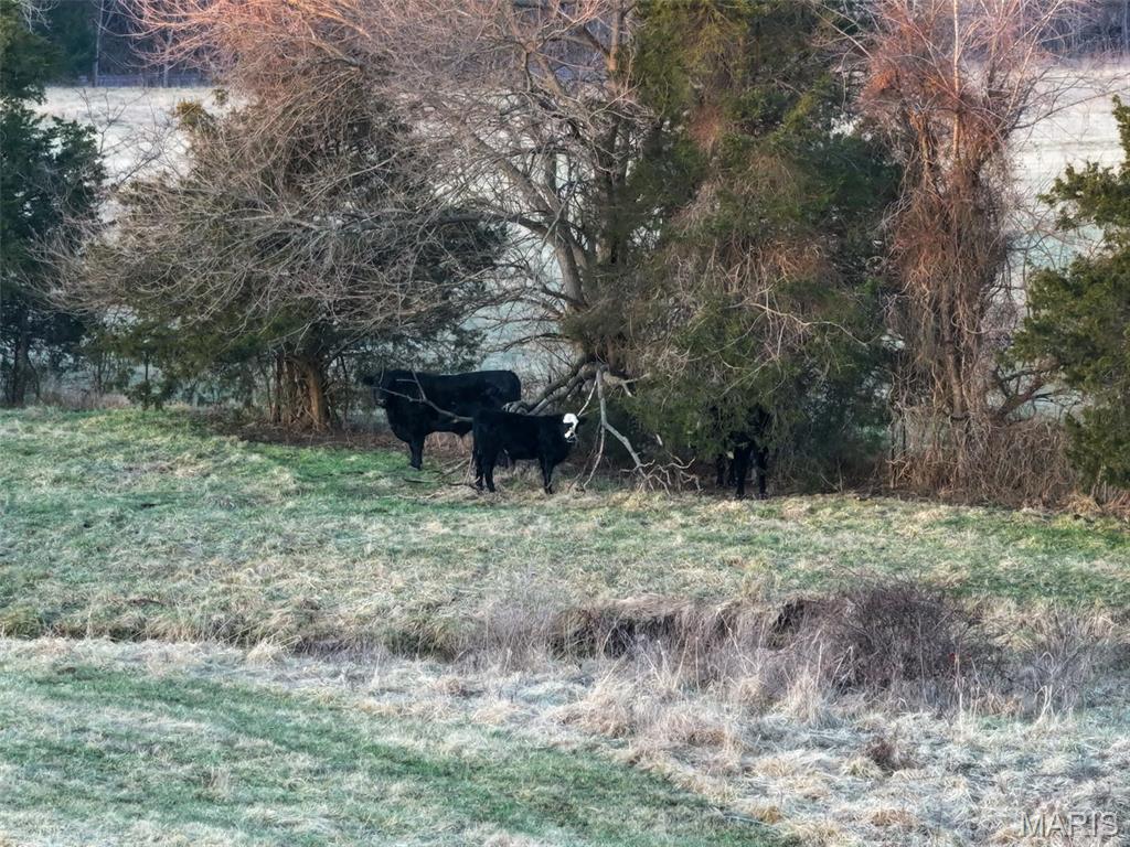 n/a - Farm