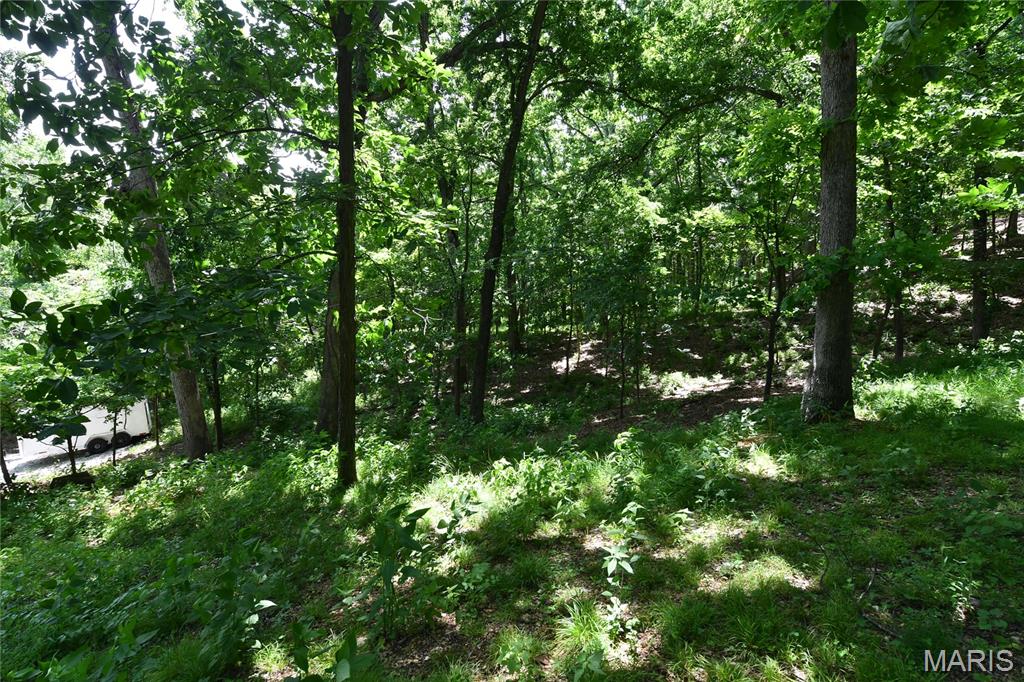 Dresser Hill - Residential Lease