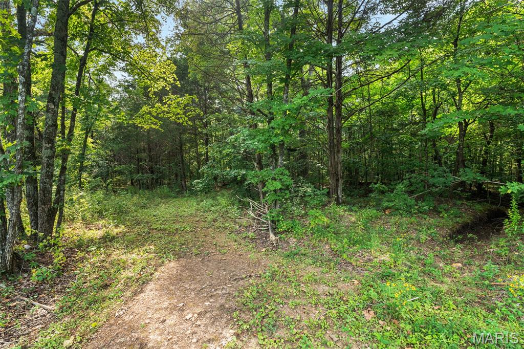 Forest View Estates - Residential