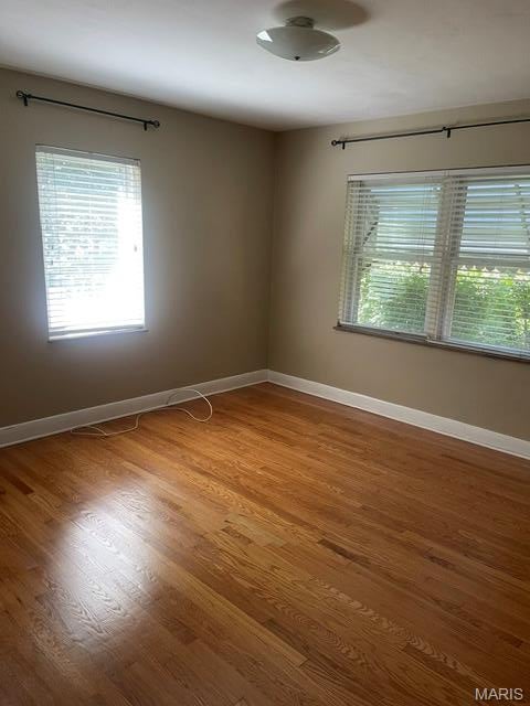 Webster Downs - Residential Lease
