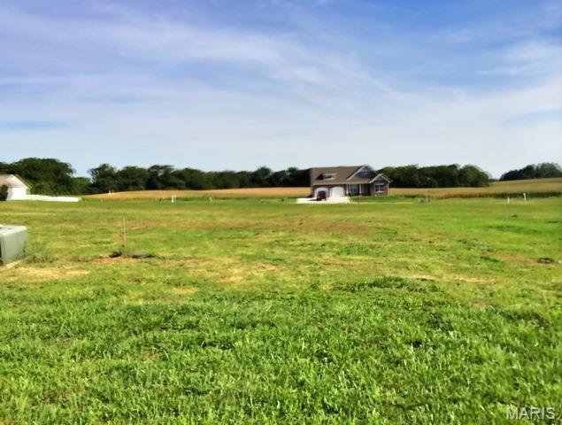 Lot 18 is an interior lot in Bluff Meadows. Tucked away by woods in the secluded entrance is Bluff Meadows in Valmeyer.  With so few homes for sale in Valmeyer, it is a great time to custom build your own home and get exactly what you are looking for.  You can bring your own builder.  Minimum square footage for a home on this lot is 1350 sq. ft. TAP IN FEES PAID BY VALMEYER to SAVE YOU MONEY!  Valmeyer is high up in the Illinois Ozark bluffs and a great community with a beautiful - easy - no stop light commute to St. Louis/about 20 minutes from South County.  Or 15 minutes to Rt 3 in Columbia.  Bluffview also offers:  Sidewalks, Street Lights, Fiber Optic & Public Utilities. There are other lots available that are Walkout, Corner or Daylight Window lots.