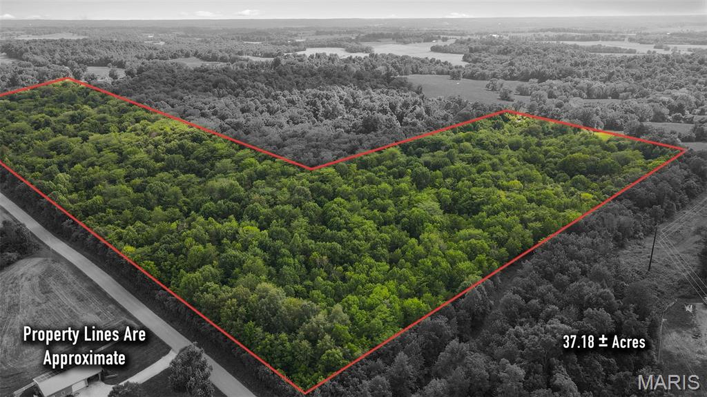 This slice of paradise could be yours! Located only 5 minutes from Jackson, this acreage is ready for anything you can dream of.  Seller will consider devising into smaller tracts.