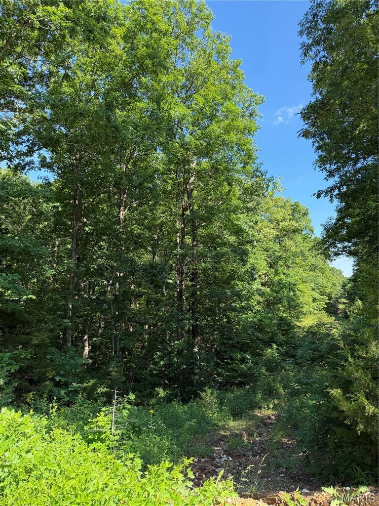 Quail Meadow - Land