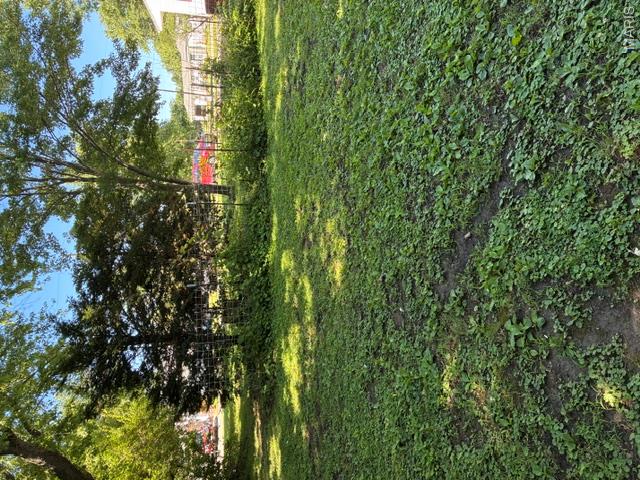D N Solomons 2nd Add - Residential