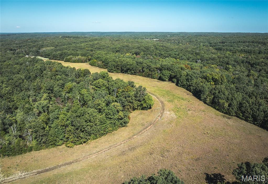 This 110 +/- acre property in Jefferson County, near the township of Blackwell, offers a diverse landscape with 25 acres of open pasture and the remainder in mature timber. It is setup perfect for multiple build opportunities on the ridgetop with scenic views and numerous pond sites. Additionally, the open pasture ground could easily be used for hay production, livestock or wildlife food plots. The property has a history and is known for fantastic deer and turkey hunting. A park-like setting with a established trail system throughout enhances accessibility and enjoyment. Access to the property is great with asphalt road frontage off Engledow Road, the property is mostly fenced and features a gated entry. There is a also a small pond on the property serving as a wildlife watering hole. The farm is located just east of Big River providing additional opportunities for floating and fishing as well. This farm has a bit of everything to offer! Call today to schedule your private showing.